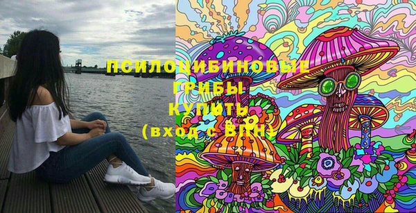 бутират Алексеевка