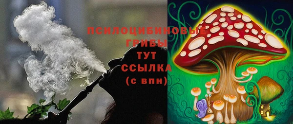 ECSTASY Надым