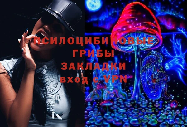 прущая мука Алзамай