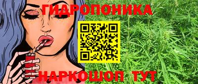 a pvp Краснодар