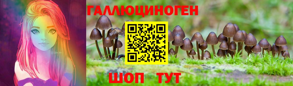 Галлюциногенные грибы Cubensis  Вход с VPN  Галлюциногенные грибы Psilocybe  Арзамас 